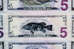 20181112_163451-e1552491232271 - Water Dollars