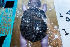 212-WALL-05870 - Baby Turtle