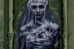Bride_Container_0132 _  Imagine a World Without Plastic