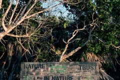 In-Nature-Parrot-Cay_0178 - In Nature We Trust - Water Dollars